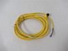 Allen-Bradley 889D-R4HC-5; Cordset Right Angle Female 5M
