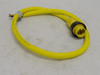 Brad Harrison 32319; Male Cordset; Quick-Change; 3' Long