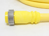 Remke 110B0120AT1; Mini-Link Plug Male; 10P; 12' Long; 600VAC