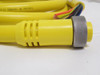 Woodhead 302000A01F1201; Female Straight Connector 12' Long