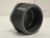 Spears 850-015; PVC Sch: 80; Hex Head Plug; 2 Mnpt