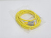 Turck RKV30-2M; Single End Cordset U5148; 18AWG; 2m Long