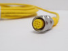 Turck RKV4.2T-5/S748; Straight EuroFast Cordset U5120-11; 5m