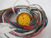 Turck RKF190-2M/14.5/NPT;  SingleEnded ReceptacleFemale .125"