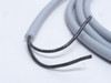Murrelectronik  248202; Terminal Pin Connector 90Deg; 10' Long