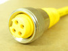 Turck RSMRKM46-0.4M; Extension Cable 3X; 4-Pin; 16AWG; 16"L