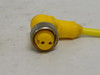 Turck WKM20-2M; Mini-Fast Connector U2138; RA; 2m Long