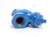 Titan YS12I0075; Strainer "Y" Pattern; 3/4NPT; 250PSI