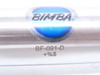 Bimba BF-091-D; Air Cylinder; 1-1/16"ID x 1" Stroke