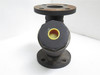 Spirax-Sarco 54006; Wye Strainer; 2" Ports; #20 SS-304 Mesh