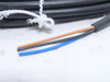ifm EVC002; Straight Female Cordset; 5-Pin; 250VAC/300VDC