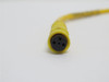 BALLUFF C49APE00VY050M; Connector Cable 1200860291; 3-Wire