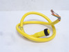 Woodhead 1300061160; Single Ended Cordset; 5 Pole; 3' Long