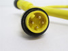 Woodhead 114020C01F030; Cordset; 600V; 10A; 4P; 3' Long; 4-Pin