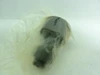 Consolidated CRSBC-24; Cam Follower; Roller:1.5"OD; 0.875"Width
