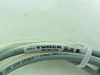 Turck RKV 4.4T-1.6-RSV 4.4T/S101; Cordset 4A; 250V; 1.6M Length