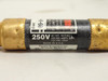 Fusetron FRN-R-60; Time Delay Fuse; 60A; 250VAC