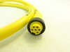 Daniel Woodhead 41601; Cable Assembly; 600V; 8A