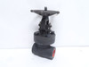Flowserve 40406-1R20; Bonneted Gate Valve; 1-1/4NPT; 1975PSI