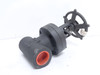 Flowserve 40406-1R20; Bonneted Gate Valve; 1-1/4NPT; 1975PSI