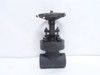 Flowserve 40406-1R20; Bonneted Gate Valve; 1-1/4NPT; 1975PSI