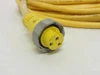 Woodhead 103000A03F3002; Cable 30' Long 300V 10A 3-Pin Connector