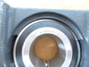 Peer SLUGRX09-27; Bearing Pillow Blk 1-11/16" ID 2 Bolt P210