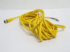 Turck RKC 4T-6; Cordset U53005-10; 3 Wire; 6m Length