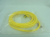 Brad Connectivity 1300060905; Cordset; 12' Length; 4P; 10A