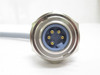 Turck RSFP 5711-2M; Receptacle U5234-12; 5-Pin; 2m Wire