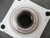 AMI MUCFPL206-20W; Flange Mount 1.25" ID 4 Bold Thermoplastic