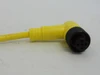 Woodhead 803001A09M0202; Cable Assy; 250V; 4A; 3-Wire;  2m Long