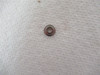 Sato PT1108040;  Ball Supporter  5/32"ID X 5/16"OD X 7/64" W