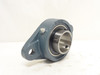 AMI UCFL210; Flange Bearing; 50mmID; 2-Bolt; W/Lube Fitting