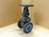 Davis Valves 12FGAZ; Cast Iron Gate Valve; Size: 3"; Class 125