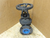 Davis Valves 12FGAZ; Cast Iron Gate Valve; Size: 3"; Class 125