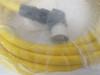 Turck CKCWMV-12-11-5; Switch Cordset 12 Pin 11 Pin Used 5 M