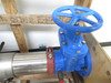 Watts 957-FS NRS-6; Reduced Pressure Zone Valve F111605