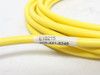 ifm E18215; Female Cordset; RA; 3-Pin; 5m Long; Pig-Tail End