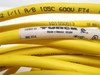 Turck RKC 4T-6; Cordset U53005-10; 3 Wire; 6m Length
