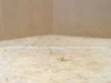 Intralox MDL-UNKN-251828; Lot-25 Belt Stick 9/64"OD; 24-3/4" L