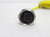 IFM E18206; Female Cordset; 3-Wire; 5m Long; 1/2" Connector