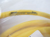 Molex 1300060096; Brad Sensor Cable 2pos Female 3.658M