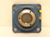 SKF FY 1.1/2 PF/AH; Y-Bearing Square Flange; 1-1/2"ID; 4-Bolt