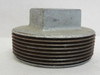Industry-Std 2WJ75; Square Plug; Galvanized; 3 MNPT; Class: 150