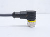 Turck WKC4.4T-P7X2-10/TXL; Right-Angle Cordset 6626185; 10m L
