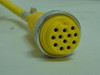 STI 43718-0020; Beamsafe II Cable Assy QDR-35; 35' Long; 12-Pin
