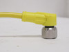 ifm E18209; Female Cordset; 300VAC/DC; 3-Wire
