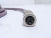 MFG- 321834-C6A-30; Ethernet Cable; M To FX Coded; M12; 30' L