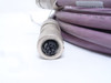 MFG- 321834-C6A-17; Ethernet Cable; M To FX Coded; M12; 17' L